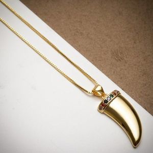 Gold Filled Tusk Gemstone Necklace Set
